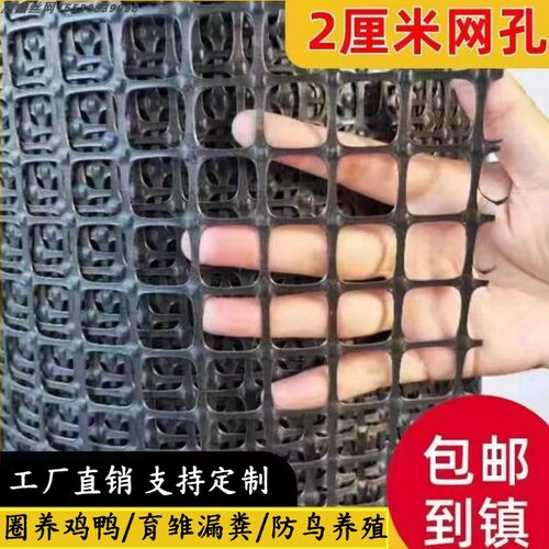 优质塑料网格两厘米小孔围栏网户外加密防护网养殖育雏护果防鸟网