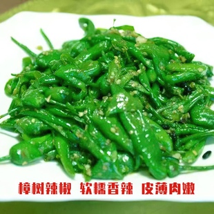 【樟树辣椒】樟树薄皮青椒农家自种湖南品种微辣新鲜软糯虎皮辣椒