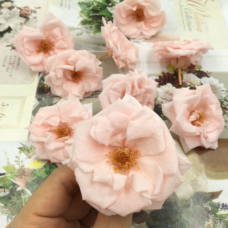 进口玛丽安永生花Diy妆容配花