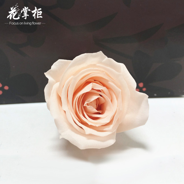 情人节永生花保鲜A级3-4cm白色玫瑰花婚礼告白礼物diy钥匙扣车挂