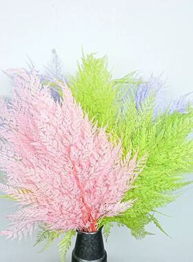 雪花蕨DIY小清新拍摄插花瓶花束