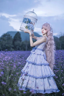 完售展示仲夏星河原创蝶语花cla系Lolita优雅连衣裙段段jsk，