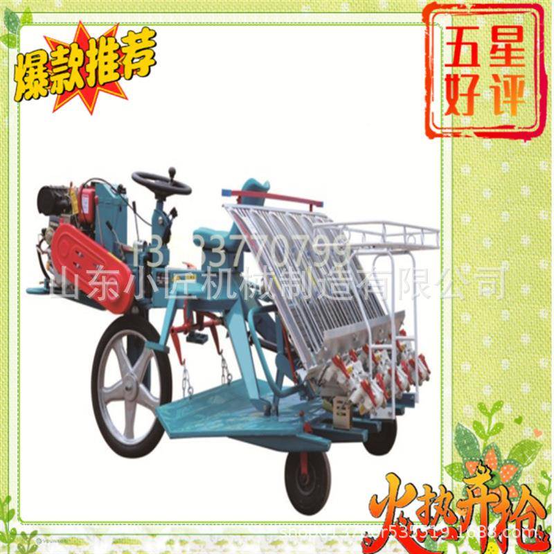 出口手步进扶式水稻插秧机 栽稻植田 秧苗种植设备水田高ZBO效插