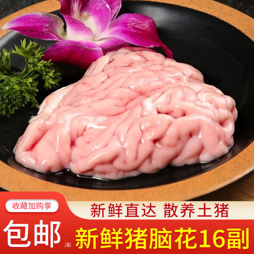 新鲜整副猪脑花速冻猪脑大猪