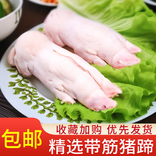 顺丰8只新鲜猪蹄整只猪蹄