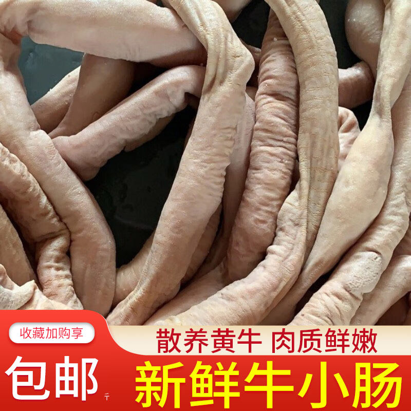 新鲜黄牛肥肠牛肠半成品带油牛小肠韩式烧烤牛杂牛肠商用纯手工