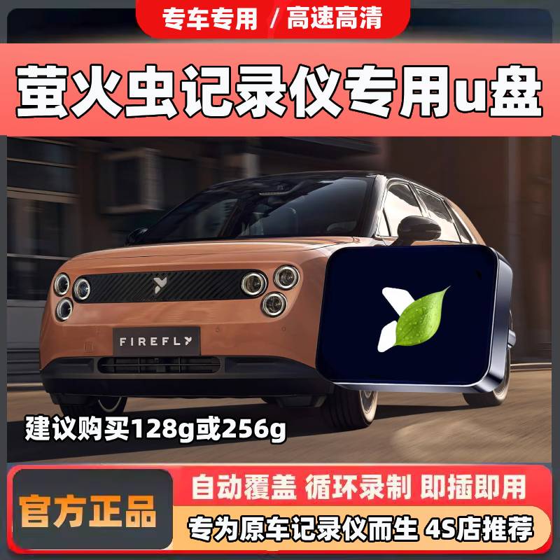 适用蔚来firefly萤火虫哨兵模式行车记录仪u盘汽车用品配件优盘