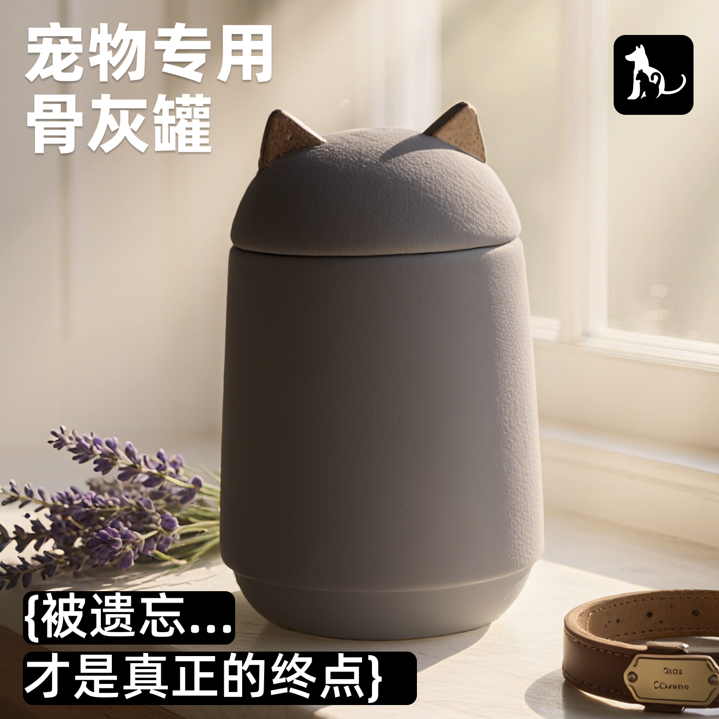 宠物棺材骨灰盒纪念火化狗狗猫咪纪念罐陶瓷殡葬用品宠物密封防潮
