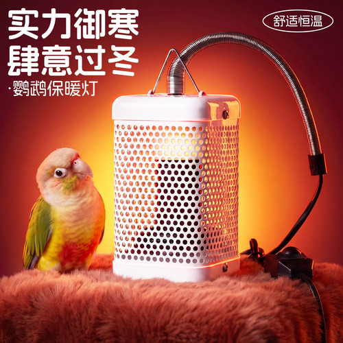 鹦鹉专用保温灯防烫取暖灯防啃咬
