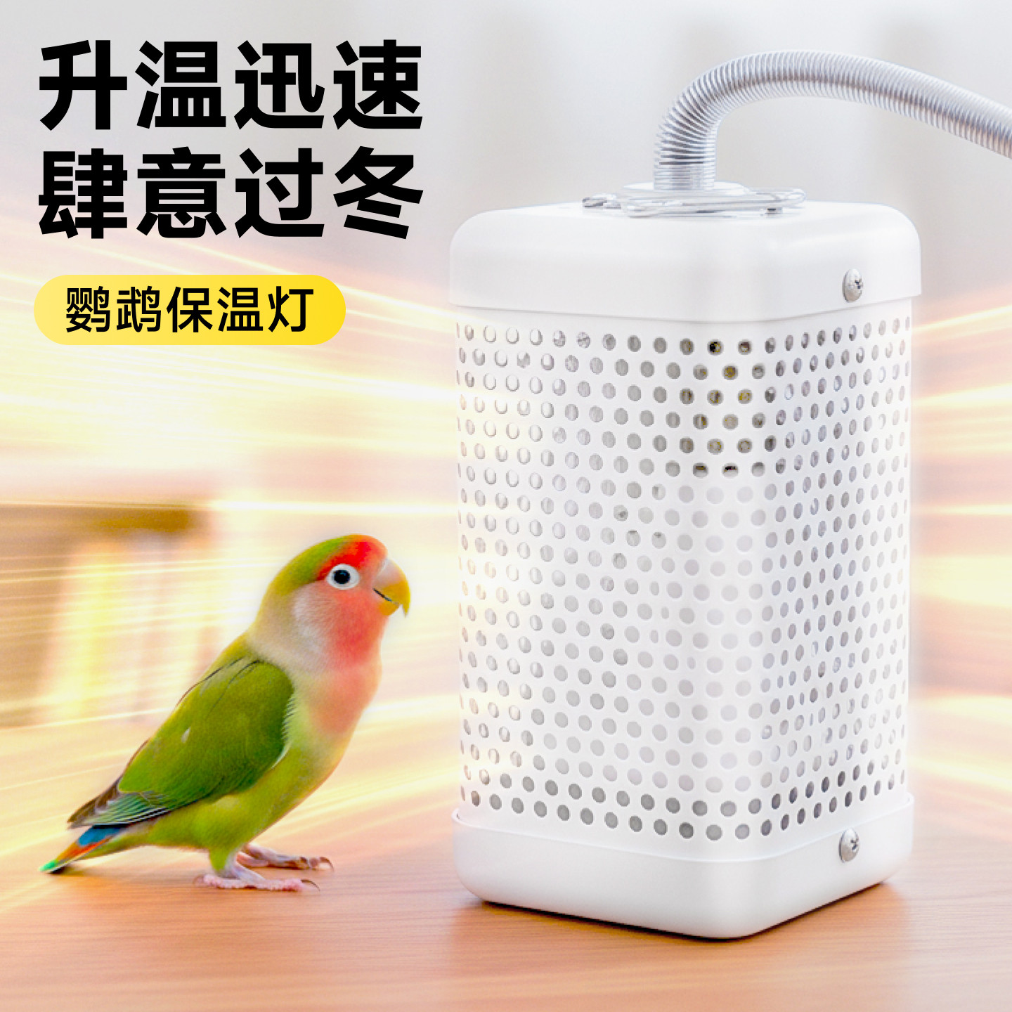 鹦鹉保温灯保暖加热灯鸟笼专用取暖鸟窝恒温温控宠物小鸡过冬神器