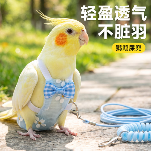 鹦鹉屎兜小鸟尿不湿专用屁兜透气
