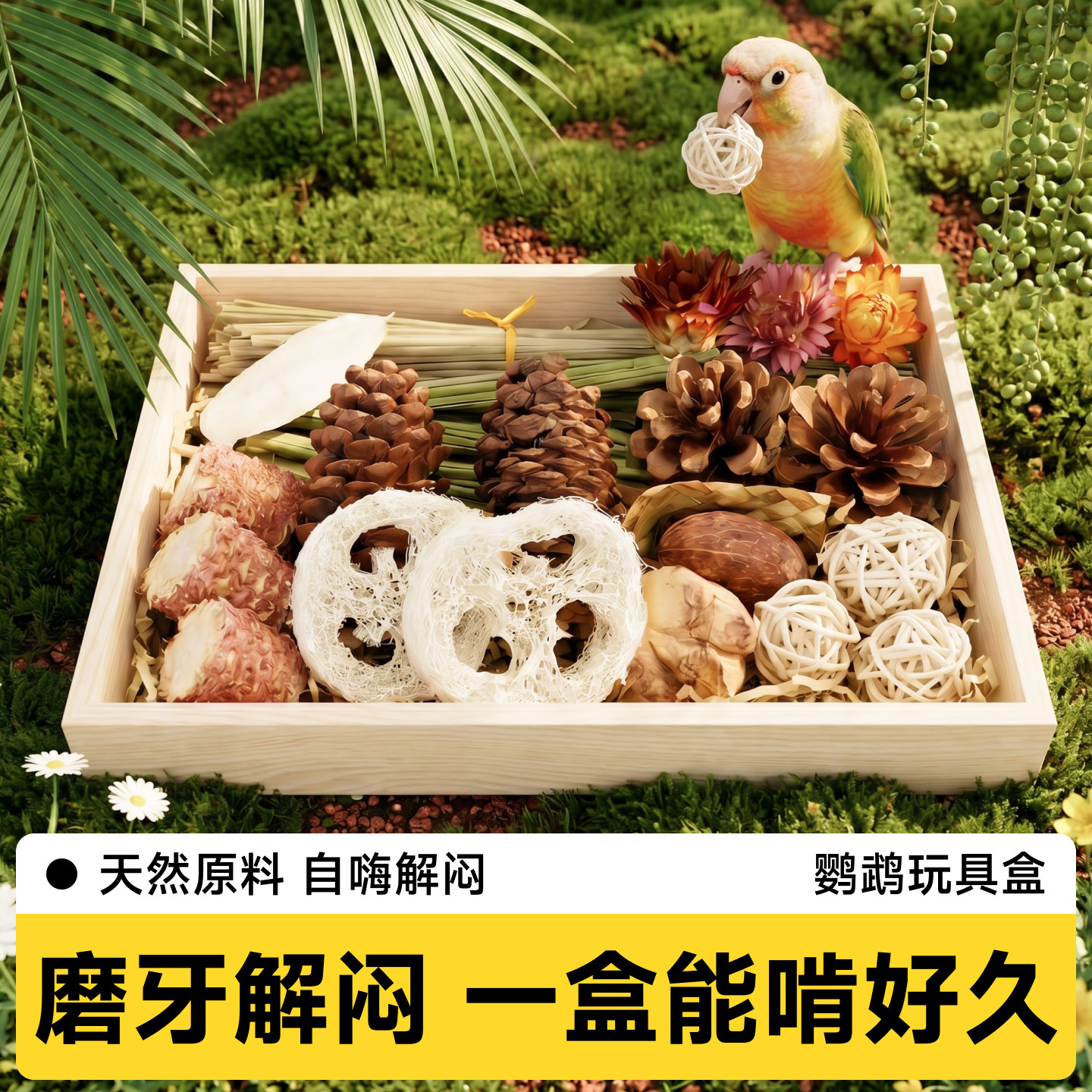 鹦鹉啃咬玩具天然解闷自嗨磨牙图片