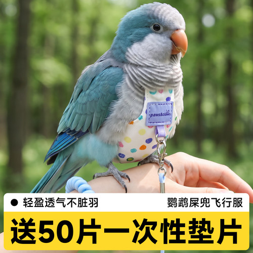鹦鹉牵引绳外出放飞绳专用纸尿裤