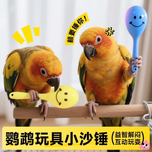 鹦鹉玩具小沙锤小太阳啃咬解闷自嗨小鸟虎皮玄凤牡丹专用磨牙解压