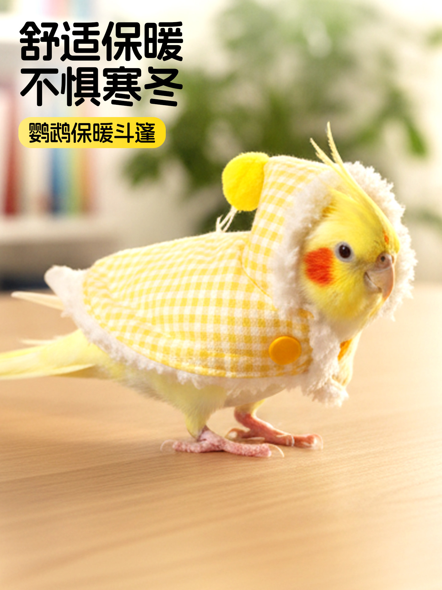 鹦鹉衣服斗篷小鸟披风虎皮牡丹玄凤小太阳加厚保暖外出专用鸟用品