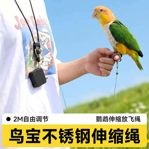 鹦鹉放飞绳可伸缩虎皮专用不锈钢