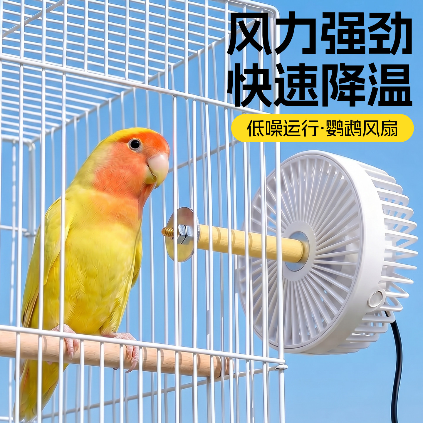 鹦鹉风扇夏季降温神器鸟笼虎皮玄凤散热专用虎皮玄凤牡丹通风配件