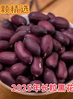 生花生2025新黑花生农家自产