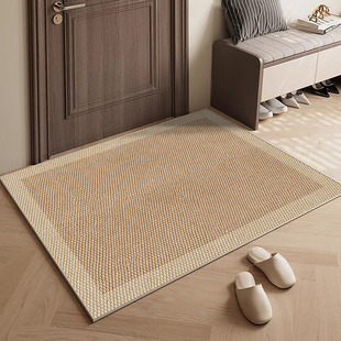 高级感入户门垫门口地垫入户家用脚垫入门户进门门外垫子玄关地毯
