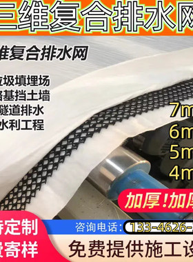 复合三维排水网垃圾场滤网4mm5mm6mm挡土墙工程地排水过滤三维网