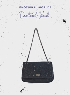 Emotional world25秋冬新款小众设计师蕾丝链条包腋下斜跨包包女