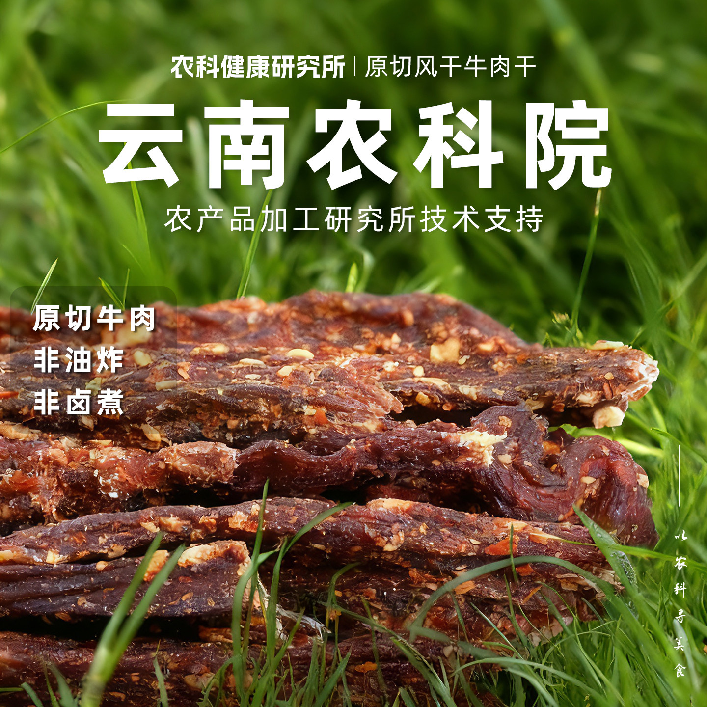 【云南农科院】滇二娃风干牛肉干手撕超干办公室小吃零食麻辣特产