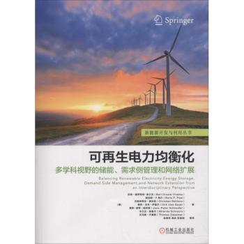 正版书籍可电力均衡化:多学科视野的储能、需求侧管理和网络扩展(德)伯特·德罗斯特-弗兰克(Bert Droste-Franke)[等]著