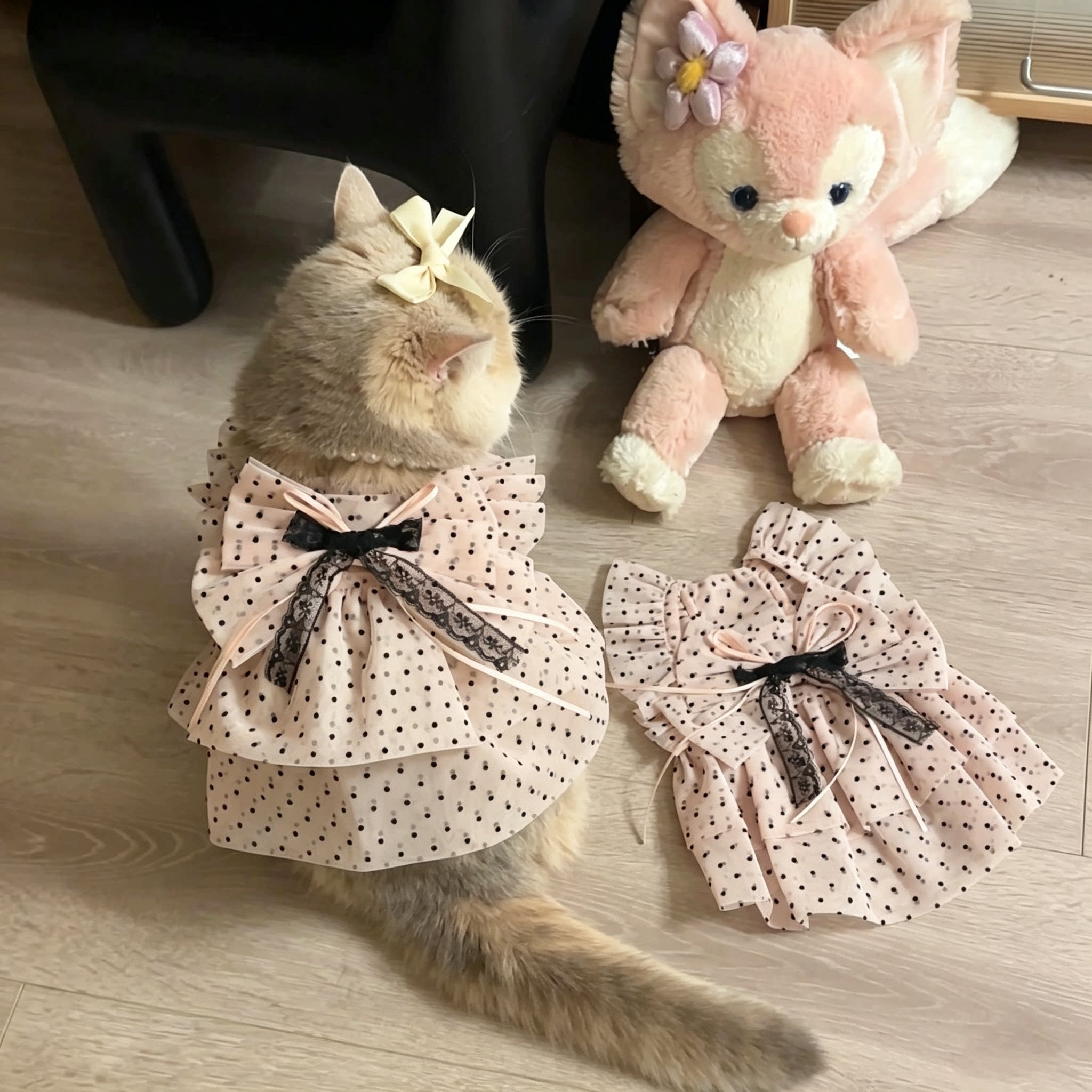猫咪衣服宠物夏季可爱蝴蝶结波点