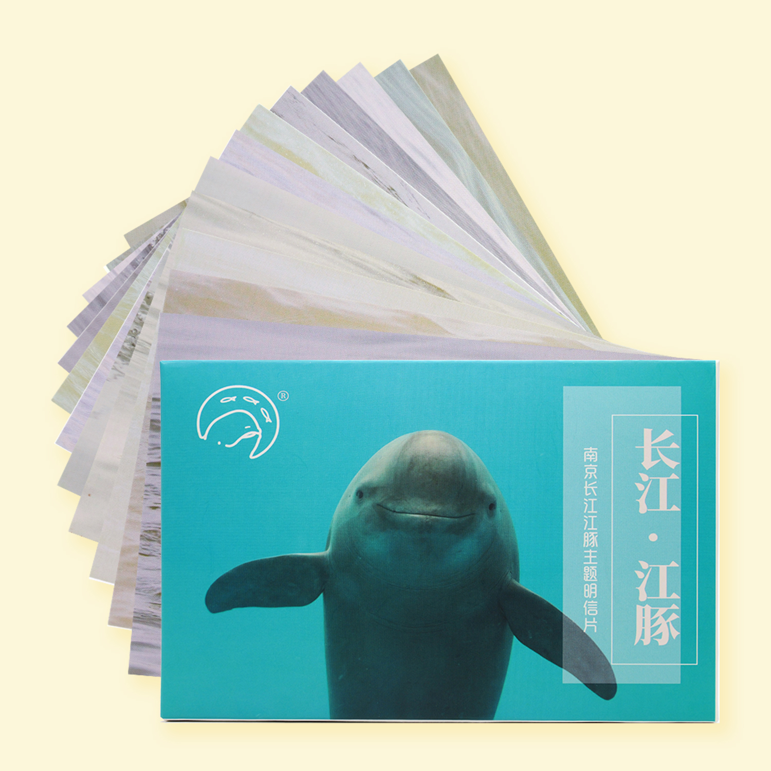 原创长江江豚新款明信片礼品卡片文创文具