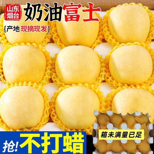 正宗山东烟台栖霞黄金奶油富士苹果4.5斤冰糖新鲜水果当季新鲜