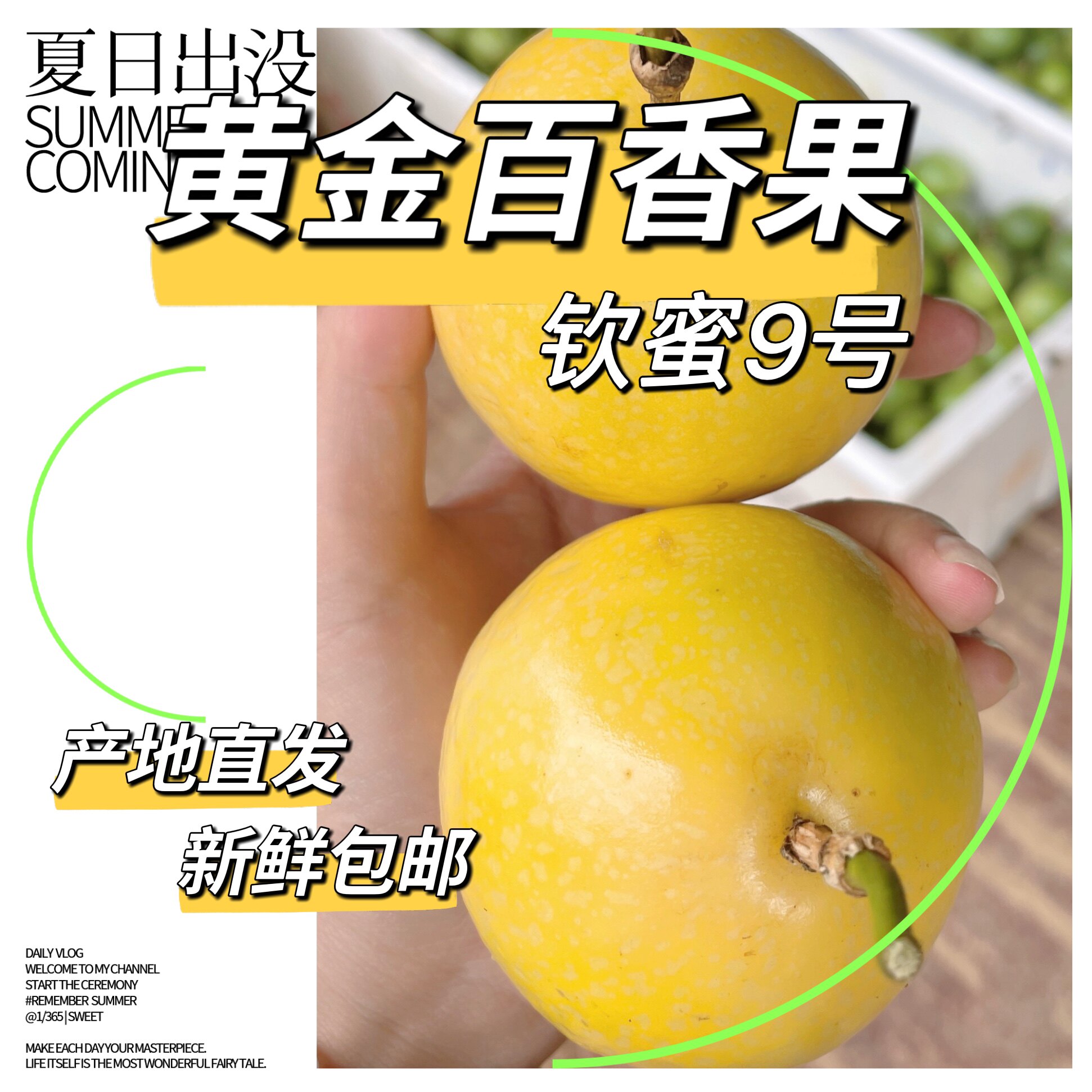 广西靖西黄金百香果3斤5斤钦蜜9号纯甜新鲜包邮