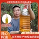 新油5斤广西巴马特产头道纯山茶油食用油茶籽油农家物理古法压榨