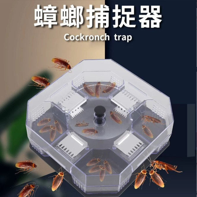 捕蟑螂神器【买2送6包诱饵】诱捕器捕捉器大号蟑螂屋灭杀蟑螂盒