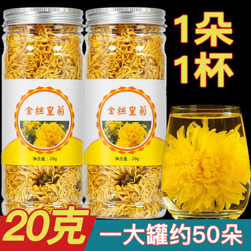 山金丝皇菊罐装20克 菊花茶一朵一杯金丝黄菊瓶装花茶