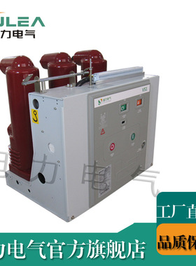 ZN73A真空断路器 代替 互换吉林永大VS1-12/630-25固封 固定 永磁