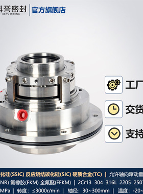 供应YTBB17-65 100TLD-B40机械密封