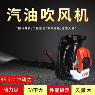 大功率背负式汽油吹风机吹雪机两冲程除尘燃油消防灭火机厂家