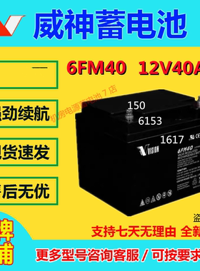 VISION威神蓄电池6FM40 12V40AH阀控UPS免维护消防通信主机直流屏