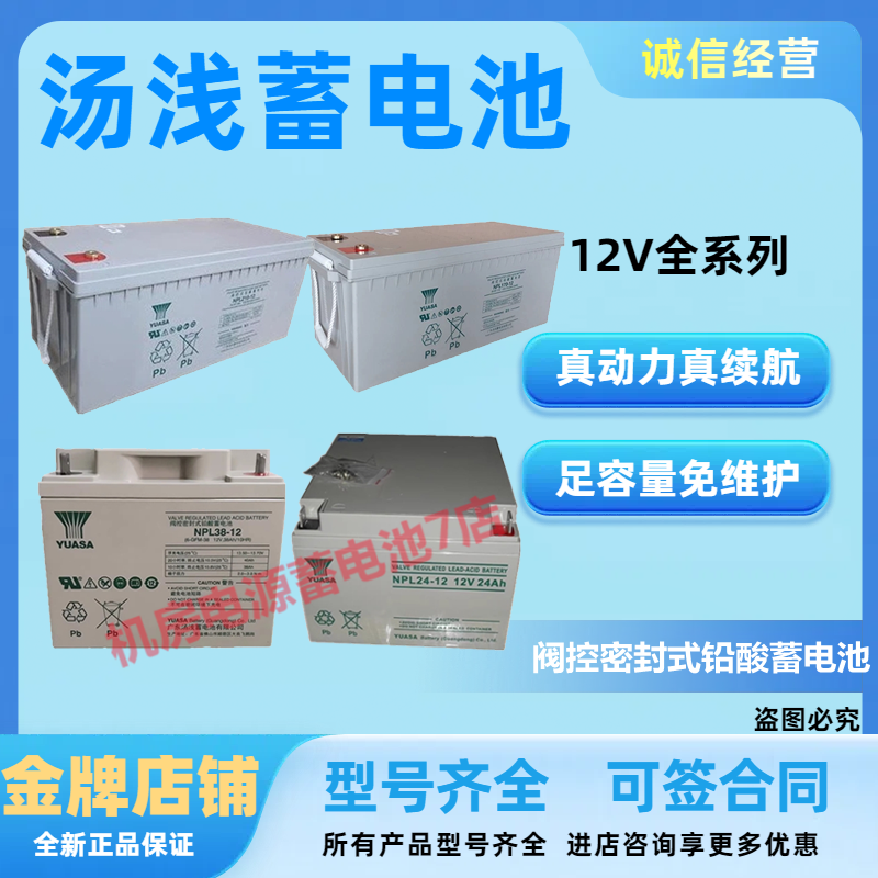 汤浅蓄电池NPL24-12 12V34AH38AH65AH100AH120AH170AH200AH免维护