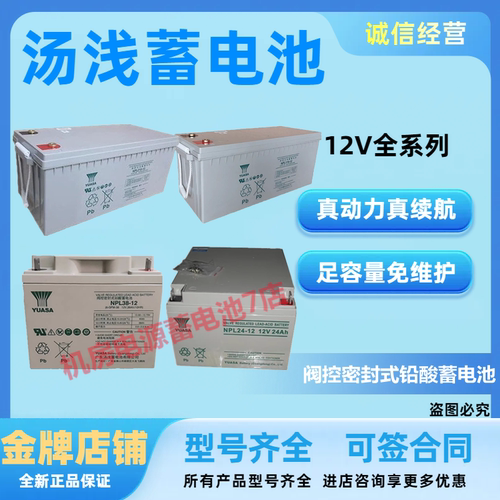 汤浅蓄电池NPL24-12 12V34AH38AH65AH100AH120AH170AH200AH免维护