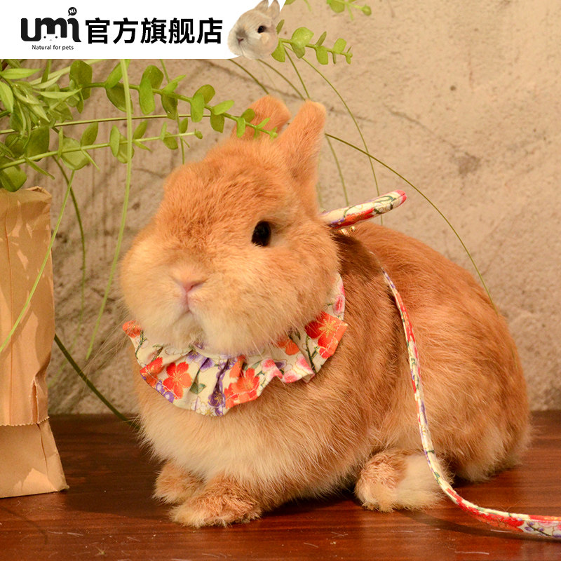 umi兔兔挂脖式日系碎花牵引绳豚鼠龙猫宠物外出装扮可爱服饰衣服,宠物/宠物食品及用品,兔兔其他,淘宝优惠券,粉丝福利购,淘宝优惠卷