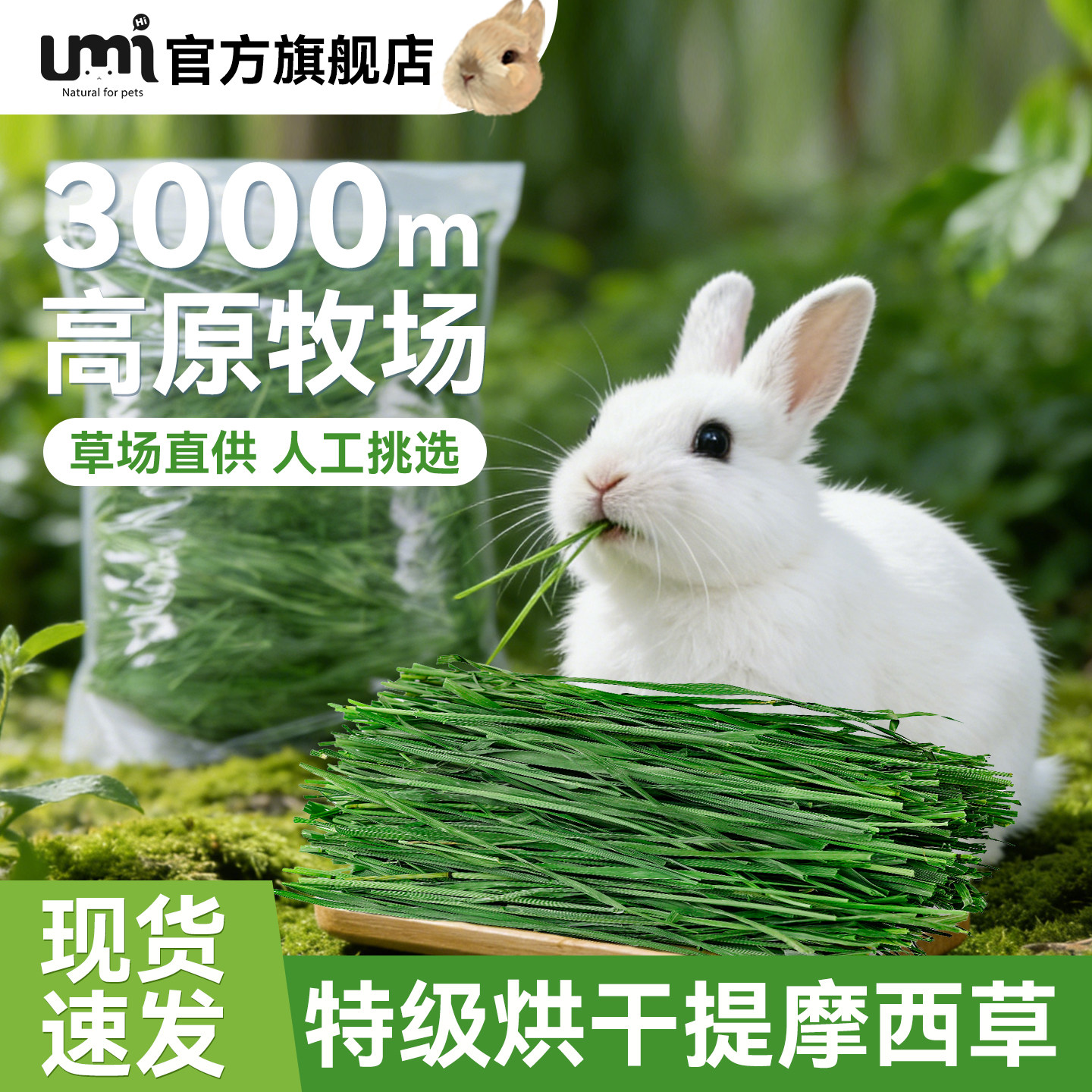 25年烘干提摩西草草段北提食用草兔粮干草兔子荷兰猪龙猫兔饲料