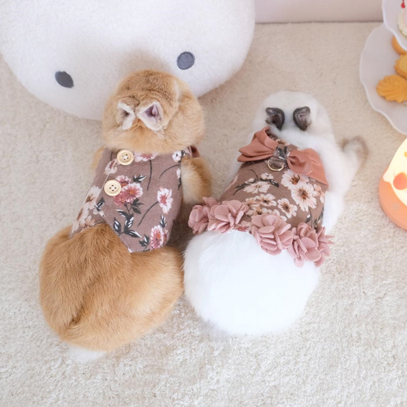 小兔子外出服公主裙兔兔衣服王子马甲情侣装宠物牵引绳装服饰小宠,宠物/宠物食品及用品,兔兔其他,淘宝优惠券,粉丝福利购,淘宝优惠卷