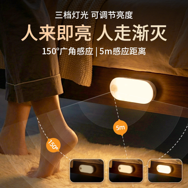 Lyridz人体感应灯家用走廊过道卫生间楼道入户门人来即亮磁吸智能