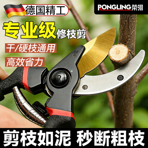 荣翎园艺修枝剪果树花艺嫁接
