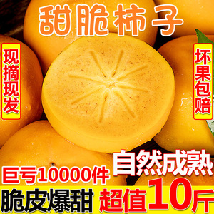 9斤包邮脆柿子水果新鲜脆甜硬柿子脆柿孕妇整箱当季大果黄甜柿子5