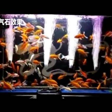 家用交流增氧泵鱼缸增氧机水族箱氧气泵小型养鱼老人用制氧冲氧泵