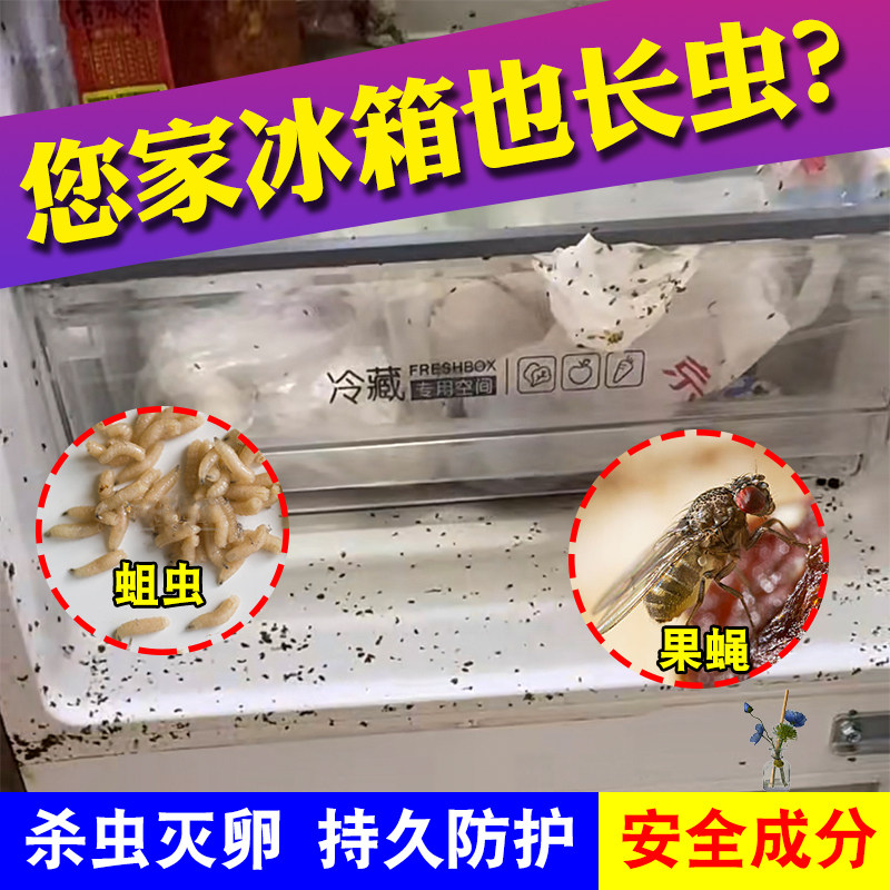 冰箱除虫剂灭果蝇小飞虫蛆虫杀虫剂家用非无毒灭果蝇幼虫卵无味pt