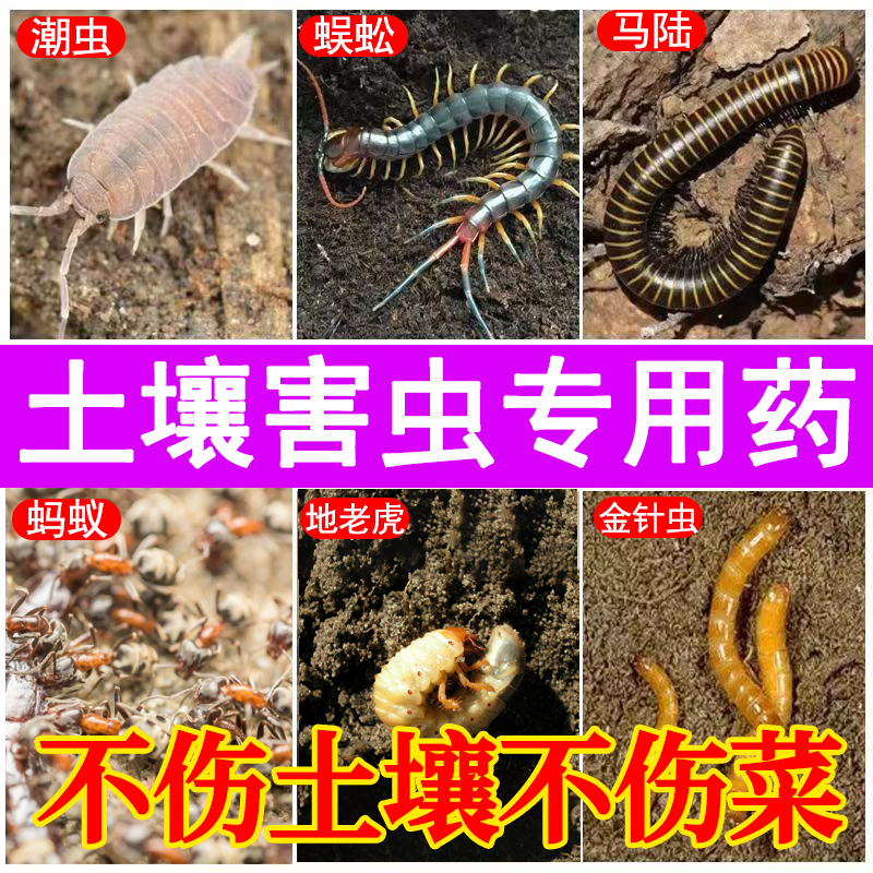 菜地花盆土壤杀虫马陆蜈蚣潮虫