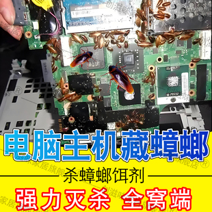 电脑机箱杀蟑螂胶饵方便贴主机主板杀虫饵剂蟑螂专用药消灭小蠊pt